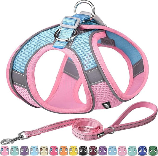 AIITLE Easy Walk Dog Harness and Leash Set - Pet Supply No Pull, Step in Adjustable Dog Harness with Padded Vest for Spring, Dog Harness No Choke Over, Easy to Put on Medium Dogs Pink L