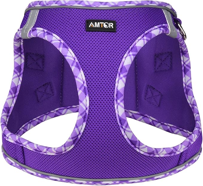 AMTOR Small Dog Harness with Leash Set, No Escape Easy Walk Puppy Harnesses for Training Walking, Step-in Reflective Soft Dogs Vest for XS S Medium Extra-Small Large Sized Dog(Purple,XS)