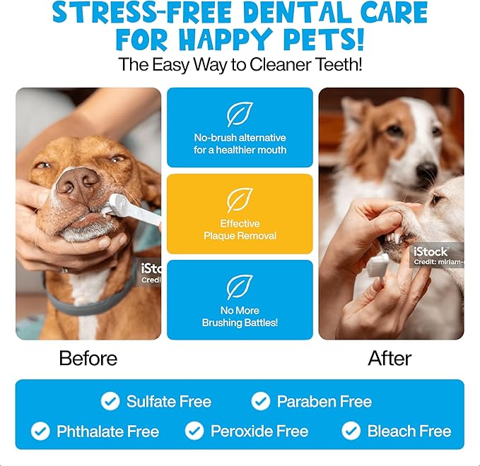 Mint Dental Care Wipes 60 Counts - Dogs Tooth Cleaning Wipes to Reduce Plaque & Tartar Buildup - Dogs and Cats Wipes for Cleaner Mouth - Dog Tooth Brushing Kit