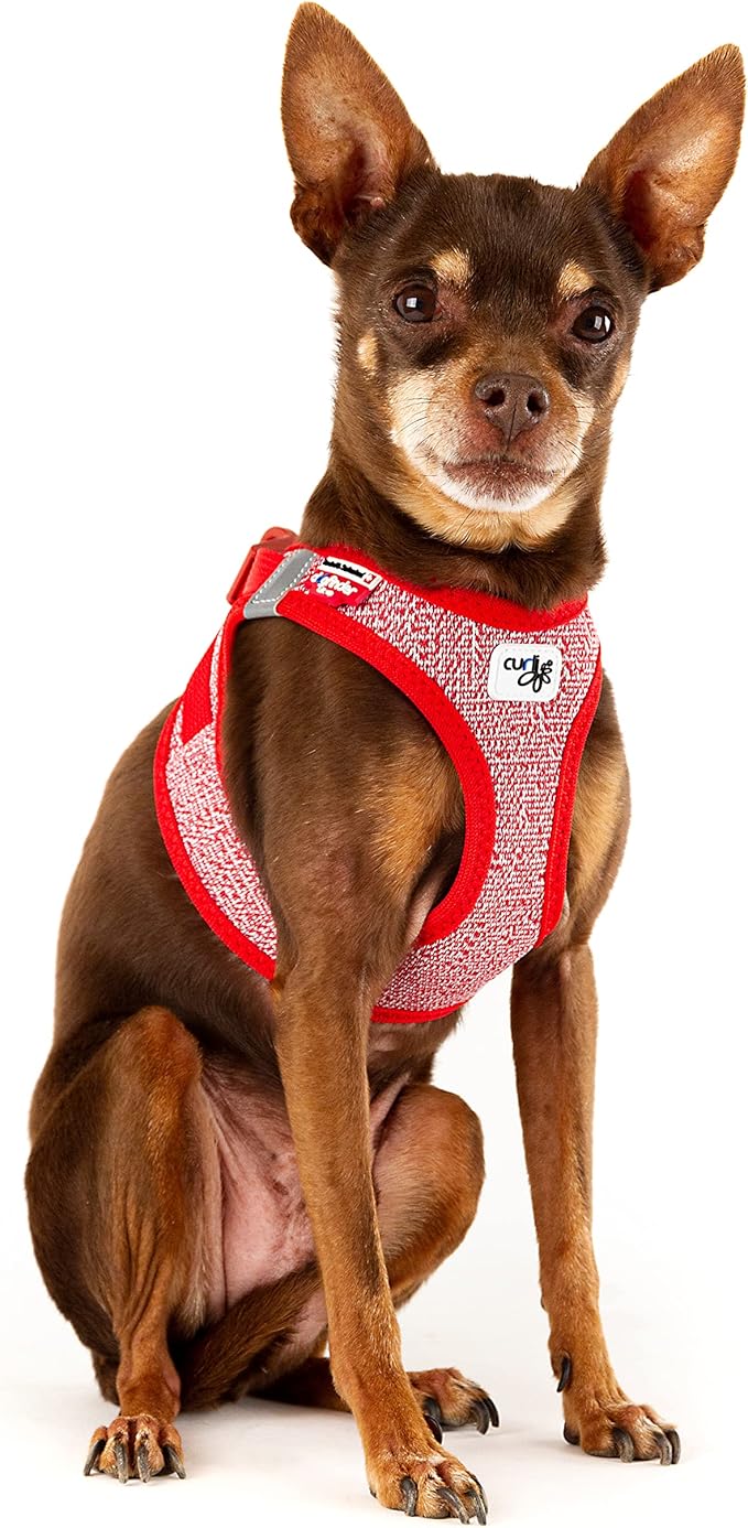 Vest Harness Merino curli Clasp Red L