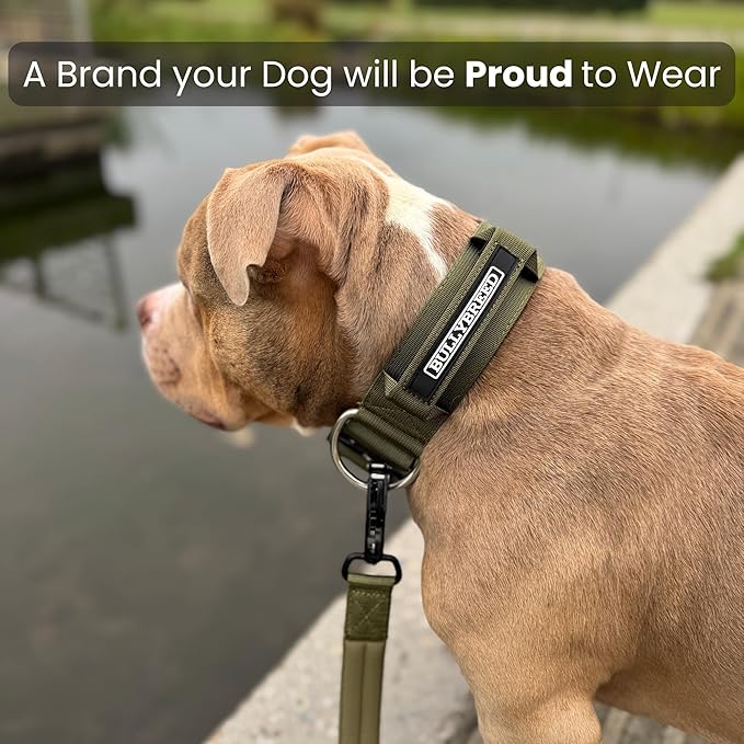 BULLYBREED Premium Dog Colar with Handle, Heavy Duty Dog Collar, Tactical Dog Collar, Quick-Release Metal Buckle, Thick Dog Collar, Dog Collar for Medium Dogs, Dog Collar for Large Dogs (Green, Large)