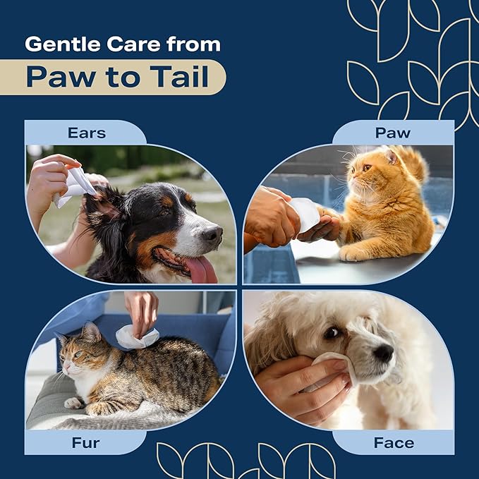 Pet Wipes for Dogs and Cats Plant Based – Lavendar Scented (Pack of 400) Dog Wipes for Paws and Butt - Deodorizing Non Toxic Dog Wipes, +12 Additional Travel Wipes