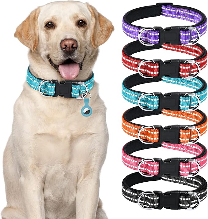 AUAUY Reflective Nylon Dog Collars, Adjustable Classic Pet Collars with Soft Neoprene Padding, Double Security Dual D-Ring and Quick Release Buckle for Small Puppy, Medium and Large Dogs (Lake Blue-L)