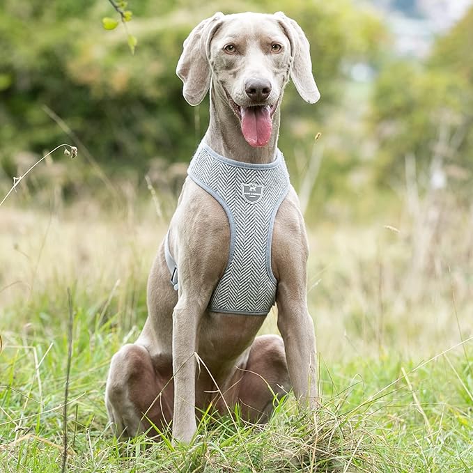 HUGO & HUDSON Dog Harness, No-Pull Anti Choke Tweed Harness Vest, Grey Herringbone, M