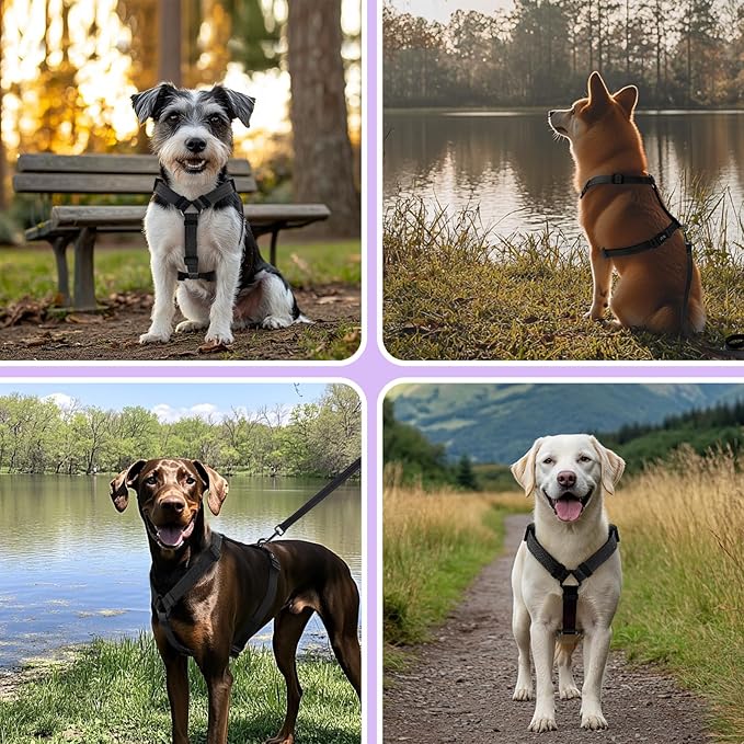 Dog Harness Leash Set, No Pull Adjustable Halter Cute Comfort Padded Handle for Medium Sized Large Small Dogs Walking Training Running with Reflective（Medium,Black）