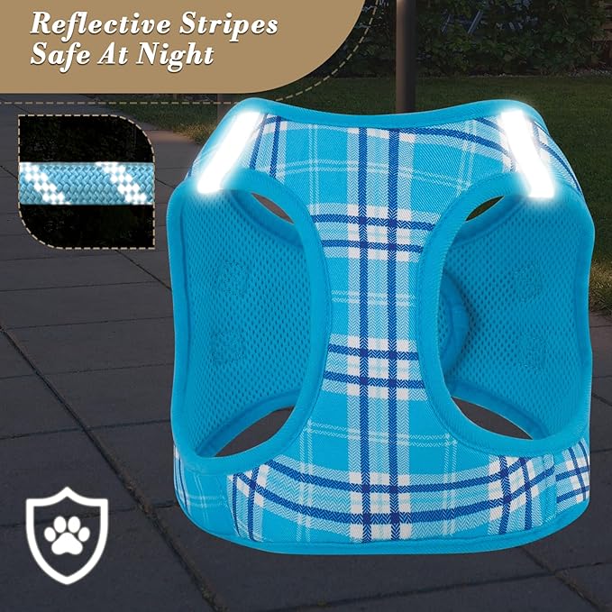 Athena Collection Step-in Dog Harness with 5 ft Leash, Large Dog Harness Leash Set Large No Pull Dog Vest Harness with Reflective Strips Adjustable Velcro, Easy Walk Dog Harness, Blue