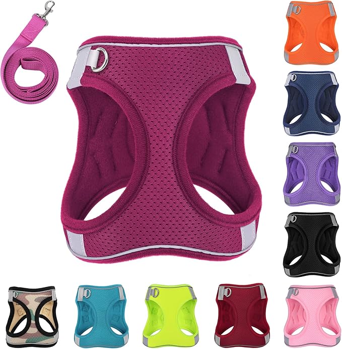 Dog Harness with Leash Set, No-Pull Step-in Reflective Pet Harness with 1 Leash Clips, Adjustable Soft Padded Easy Walk Dog Vest for Small Medium Large Dogs, Cats(Rose Red, XXXSmall)