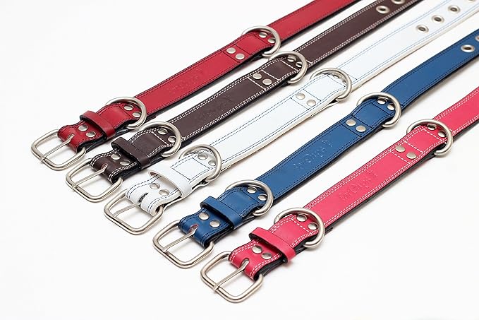 Premium Leather Collars with Stainless Steel Buckles (18"-21", Blue)