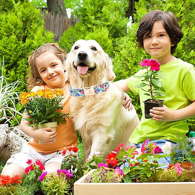 Lionheart glory Dog Collar Pink Flower Dogs Collar Spring Summer Cute Collars Dog Girl or Boy Soft Durable Adjustable Dog Collars for Small Dogs Pet Gift