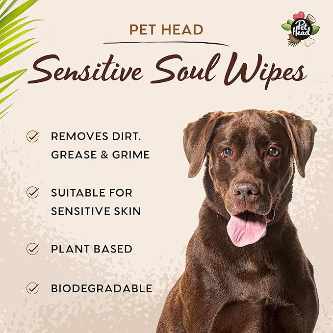 Pet Head Sensitive Soul Dog & Cat Wipes for Paws, Body & Face | Coconut Scent with Aloe Vera | Biodegradable, Plant-Based and Plastic-Free Wipes | an Easy & Speedy Freshen-Up | Made in USA | 100 Pack