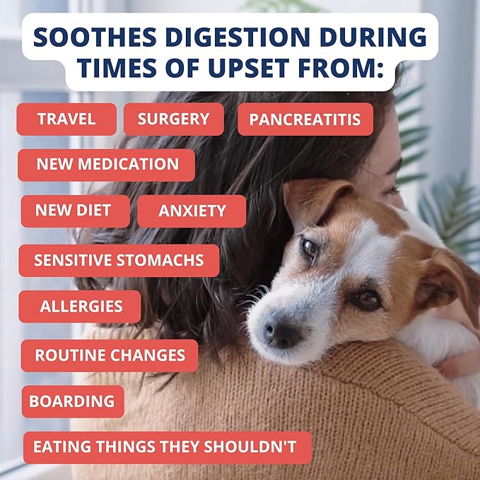 Under the Weather Bland Diet for Dogs | Easy to Digest Stomach Support for Sick Dogs | Contains Electrolytes, All Natural | 6 Pack - Turkey, Oatmeal, Sweet Potato & Slippery Elm for Dogs - 6oz