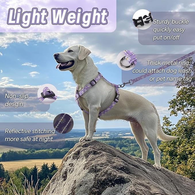 Dog Harness Leash Set, No Pull Adjustable Halter Cute Comfort Padded Handle for Medium Sized Large Small Dogs Walking Training Running with Reflective（Medium,Purple）