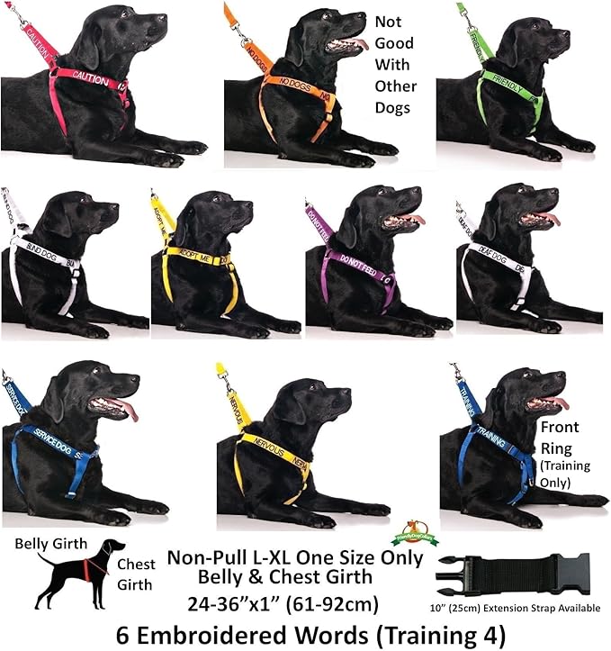 FRIENDLY (Known as Friendly to all) Green Color Coded Non-Pull Front and Back D Ring Padded and Waterproof Vest Dog Harness PREVENTS Accidents By Warning Others Of Your Dog In Advance (L)