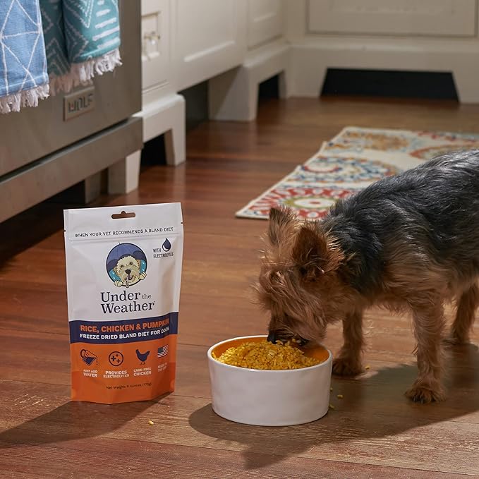 Under the Weather Bland Diet for Dogs | Easy to Digest for Sick Dogs |Always Be Ready | Contains Electrolytes - All Natural Freeze Dried 100% Human Grade Meats | 1 Pack - Rice, Chicken & Pumpkin - 6oz