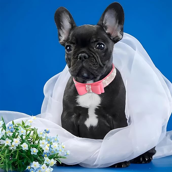 Yellow XS Dog Collar with Bowtie, Rhinestone Dog Collar Crystal Jeweled Pretty Girl Bows Cat Collars Sparkling Glitter for XXS XS Small Dogs,X-Small