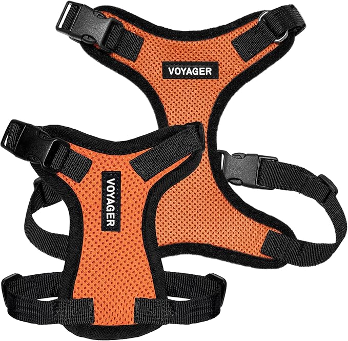 Voyager Step-in Lock Pet Harness - All Weather Mesh, Adjustable Step in Harness for Cats and Dogs by Best Pet Supplies - Orange/Black Trim, XS