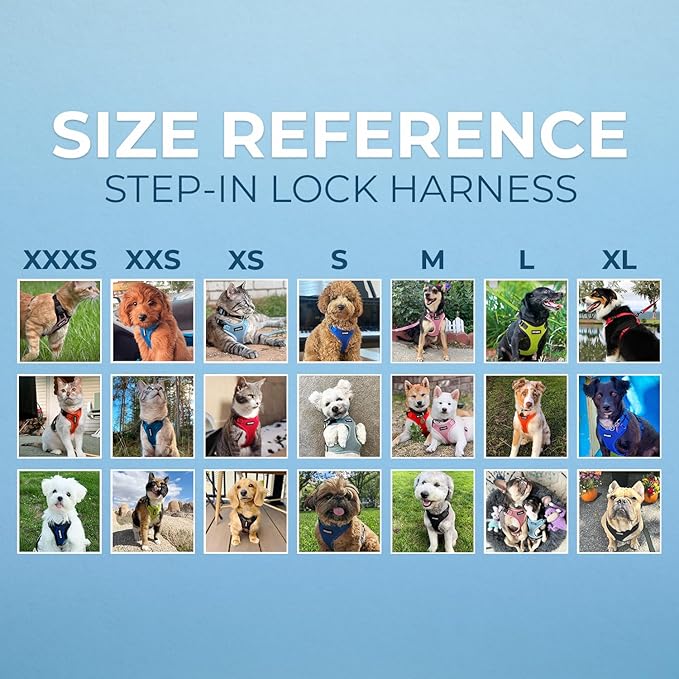 Voyager Step-in Lock Pet Harness - All Weather Mesh, Adjustable Step in Harness for Cats and Dogs by Best Pet Supplies - Turquoise/Black Trim, L