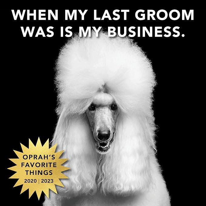 Pride and Groom The Mane Tame Waterless Dog Shampoo – Foaming Dry Shampoo for Dogs and Cats Made in USA for a Rinse Free Cleanse and to Eliminate Odor in Between Baths On-The-Go – 7.1 fl oz