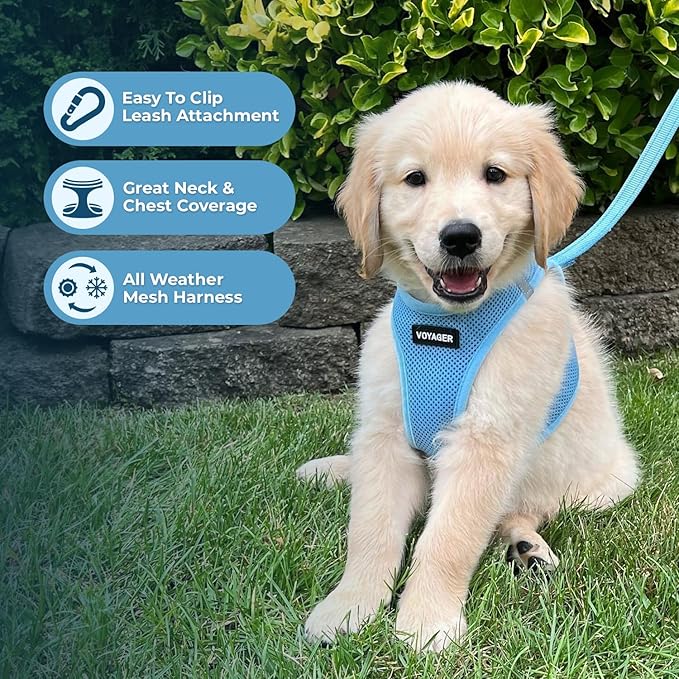 Voyager Step-In Air Dog Harness - All Weather Mesh, Reflective, No Pull Harness for Small, Medium Dogs, Cats - Secure with Hook & Loop Fastener, Buckle, Double D-Rings - Baby Blue, XXXS