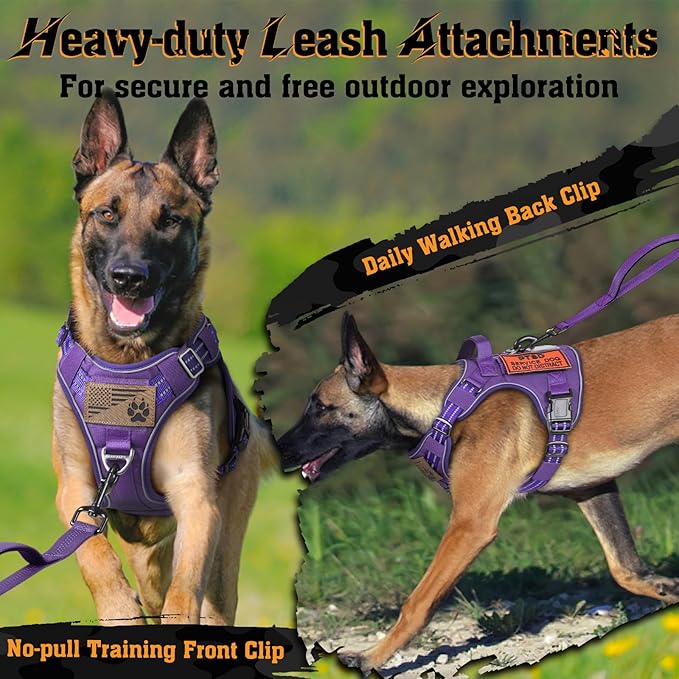 rabbitgoo Dog Harness Medium Sized No Pull, Tactical Service Dog Vest with Molle and Control Handle, Adjustable and Reflective Military Pet Harness for Easy Walking and Training, Purple, M