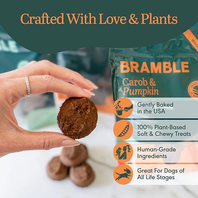 BRAMBLE Dog Treats. Plant-Based Treats for Dogs, Wheat-Free Everyday Dog Treats. Carob & Pumpkin, Made with Real Ingredients, Soft & Chewy Cookies. 8 oz