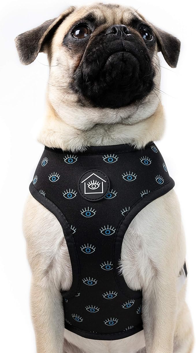 Now House for Pets by Jonathan Adler Pets Reversible Harness - Stylish, Fashionable, and Functional - Cute Dog Accessories for Pets, Cute Dog Harness, Dog Walking Harness, Pet Harness for Dogs