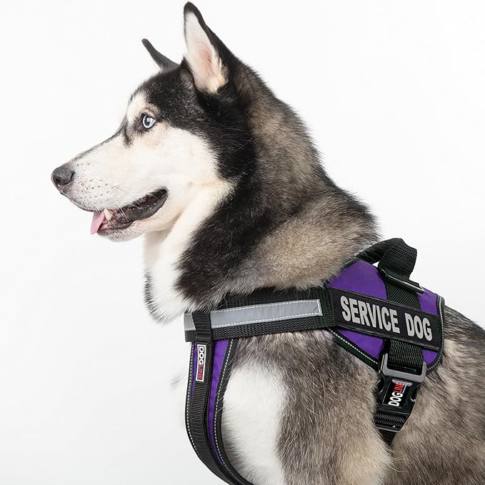 Dogline Unimax Service Dog Vest and Free Service Dog ID Badge with ADA Law, Large, Purple