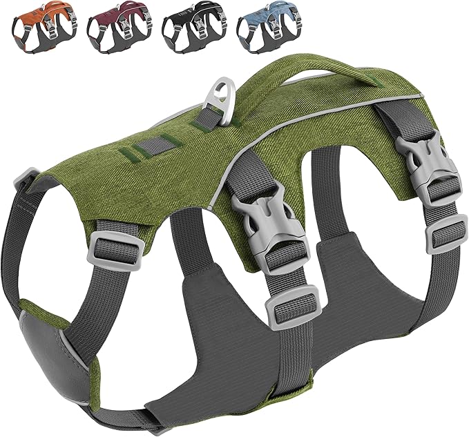 Dog Harness Medium Sized Dog Escape Proof Dog Harness with Handle, Reflective Dog Vest, Breathable Soft Full Body Pet Harness for Walking, Training (Green, M)