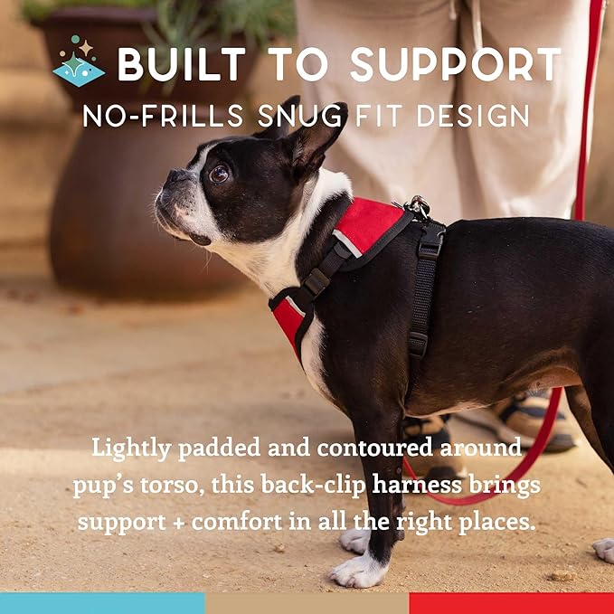 Dog Harness, Puppy Harness, Soft Harness for Dogs, Comfortable Dog Harness, Small Dog Harness, Dog Harness with Padding, Snug Fit Design, 4 Point Adjustable - Wildebeest (L - 26~32 inch Girth, Red)
