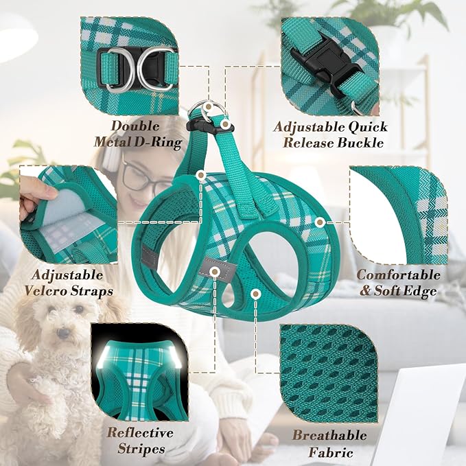 Athena Collection Small Dog Harness with 5 ft Leash, Step-in Dog Harness Leash Set Small No Pull Dog Vest Harness with Reflective Strips Adjustable Velcro, Easy Walk Puppy Harness, Green