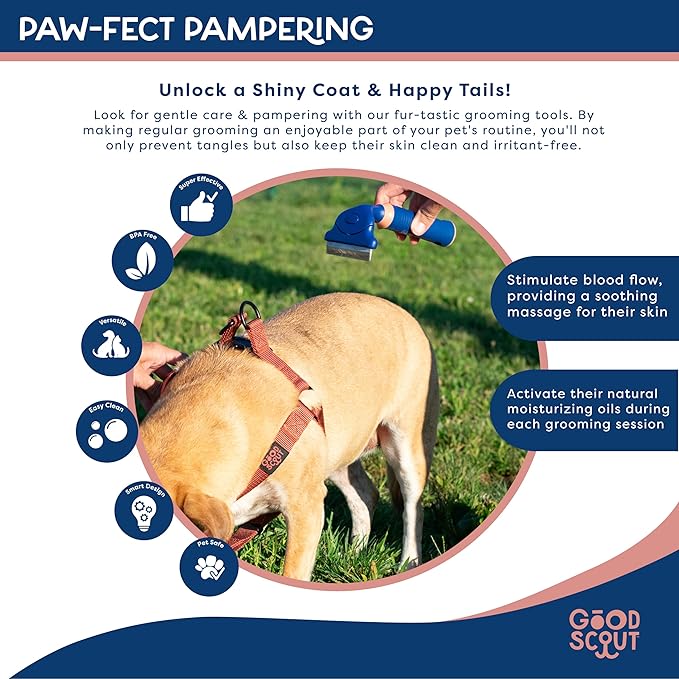 Good Scout Stainless Steel Pet Hair Rake, Best Deshedding Tools for Dogs & Cats, Gentle, Safe & Effective Grooming Tool for Long & Short Haired Animals