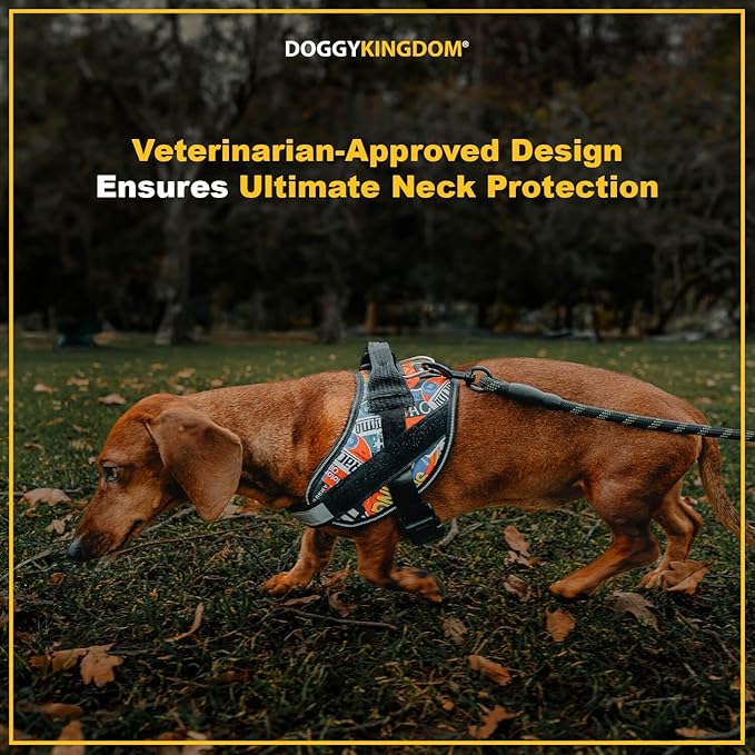 Non Pull Dog Harness with Patch Panels and Handle, Adjustable, Reflective, No Choke, Heavy Duty Easy On Service Dog Vest Harnesses for Medium Large Small Sized Dogs - Camouflage Pink, S