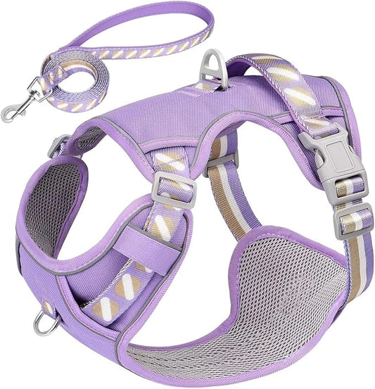 No Pull Dog Harness and Leash Set,Reflective Dog Harness with Easy Control Soft Handle,Adjustable and Comfortable for Easy Walking,Fit Small Medium Large Breed Dogs,Purple,L