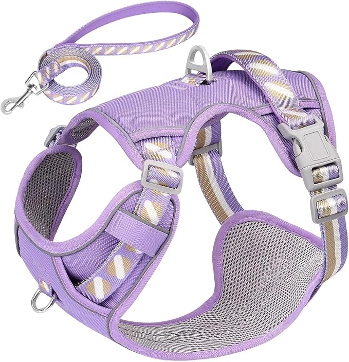 No Pull Dog Harness and Leash Set,Reflective Dog Harness with Easy Control Soft Handle,Adjustable and Comfortable for Easy Walking,Fit Small Medium Large Breed Dogs,Purple,M