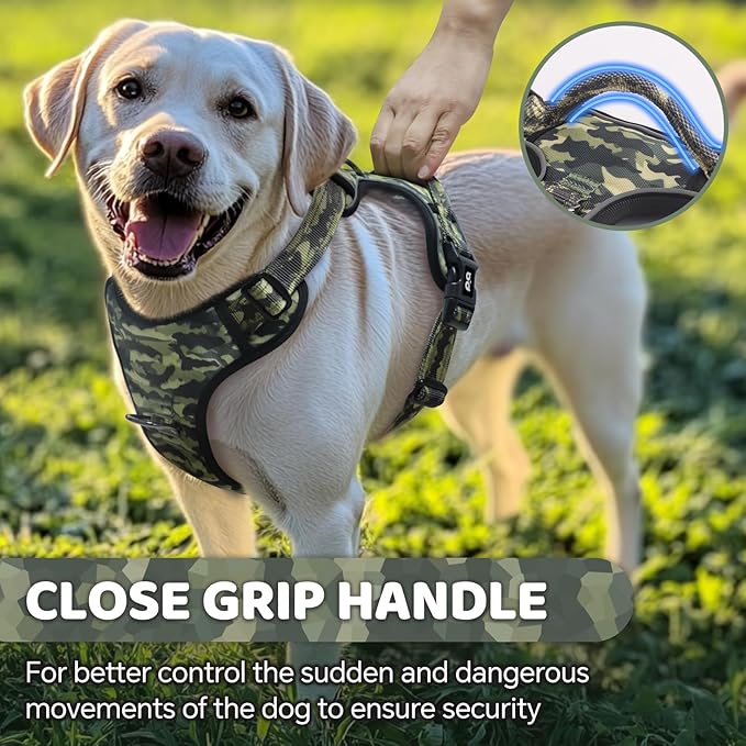 QQPETS No Pull Dog Harness with 2 Leash Clips，Adjustable Soft Padded Dog Vest, Reflective Outdoor Pet Oxford Vest with Easy Control Handle for Small to Large Dogs Walking Training