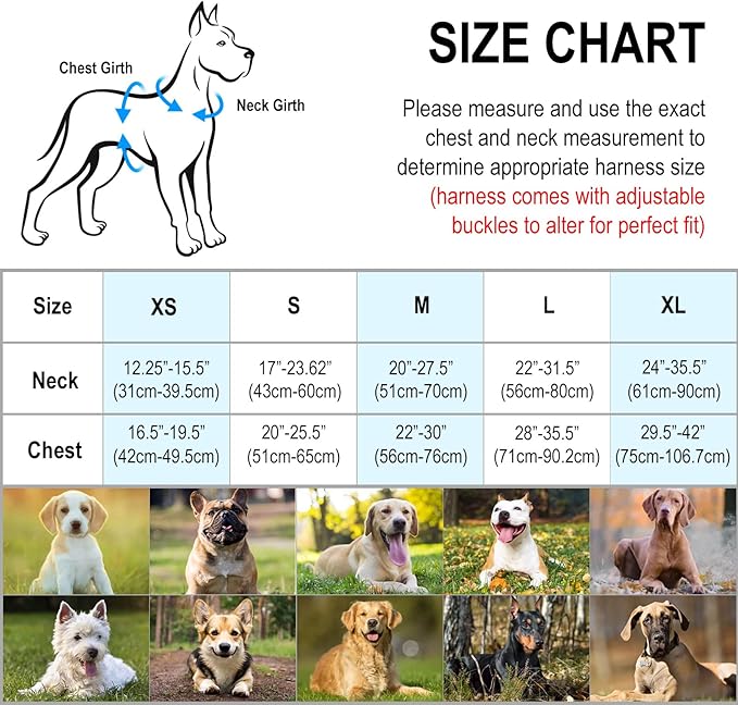 Light Up Dog Harness No-Pull LED Dog Harness with Handle Rechargeable Lighted Dog Vest Harness Dog Harness for X-Small/Small/Medium/Large/X-Large Size (Green, L)