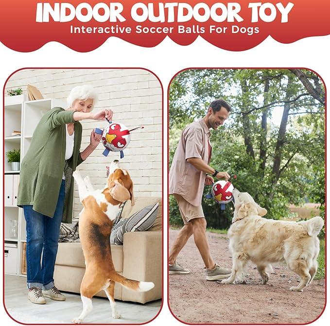 QDAN Premium Dog Balls Toys, Outdoor Dog Toys, Dog Soccer Balls with with Straps, Pet Puppy Birthday Gifts for Small Medium Dogs, 6 Inch, Chicken Ball