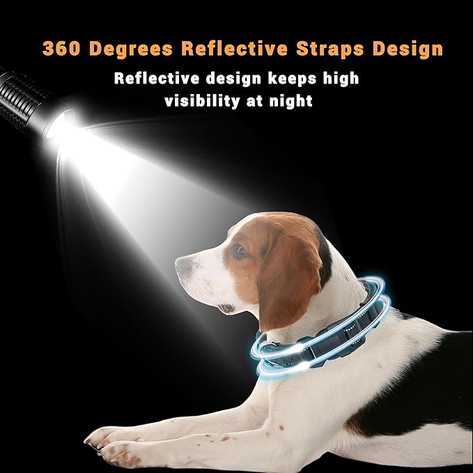 2 Pack Reflective Dog Collar with Safety Locking Buckle, Adjustable Soft Breathable Comfortable Nylon Pet Collar for Small, Medium and Large Dogs, Black, S