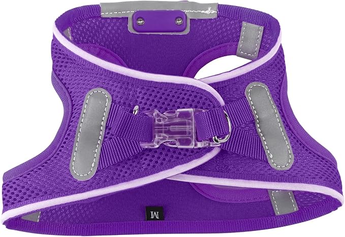 Light Up Dog Harness,LED Dog Harness Rechargeable, Lighted Dog Vest Harness for Night Walking,Reflective Safety Vest for Small Medium Large Dogs,Adjustable Soft Mesh,Purple,S