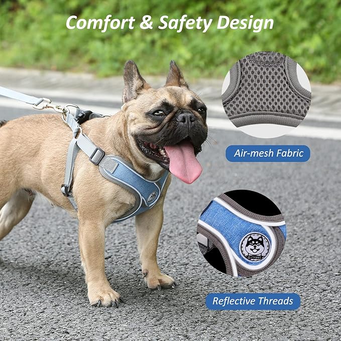Dog Harness with Leash Set, No Pull Adjustable Step in Dog Collars Harness with Breathable Padded Vest Harness for Small Medium Large Dogs Training and Running(M, Blue)