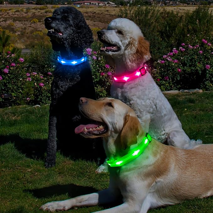 BSEEN Light Up Dog Collars - Glowing LED Dog Collar, Reflective Puppy Collar, Adjustable Lighted Dog Collar, Rechargeable Pet Collar for Night Walking (Green-II, Large)