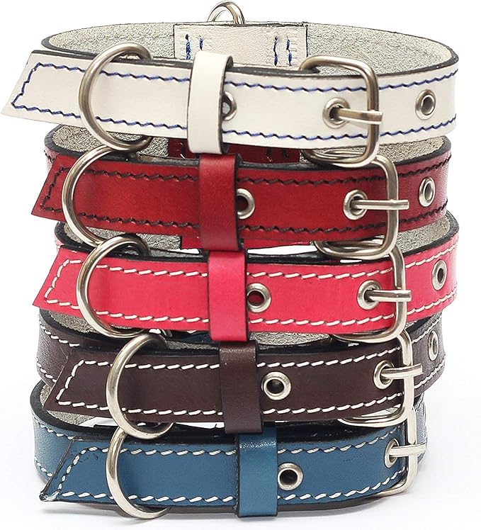 Premium Leather Collars with Stainless Steel Buckles (12"-15", White)