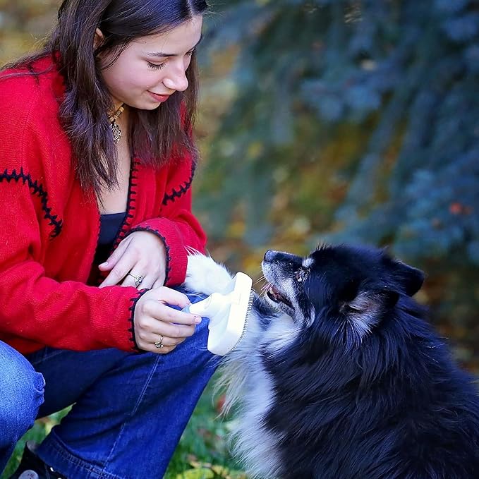 Self-Cleaning Slicker Brush for Dogs, Shedding Fur Comb, Dematting Comb & Nail Clipper Set for Dogs With Medium and Long Hair