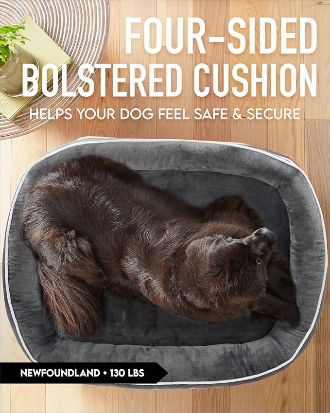 OhGeni Orthopedic Dog Bed for Extra Extra Large Dogs, Dog Couch Design with Egg Foam Support, Removable, Machine Washable Plush Cover and Non-Slip Bottom with Four Sided Bolster Cushion (Gray)