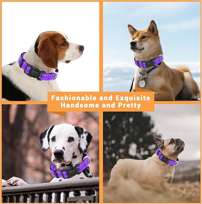 2 Pack Reflective Dog Collar with Safety Locking Buckle, Adjustable Soft Breathable Comfortable Nylon Pet Collar for Small, Medium and Large Dogs, Purple, M