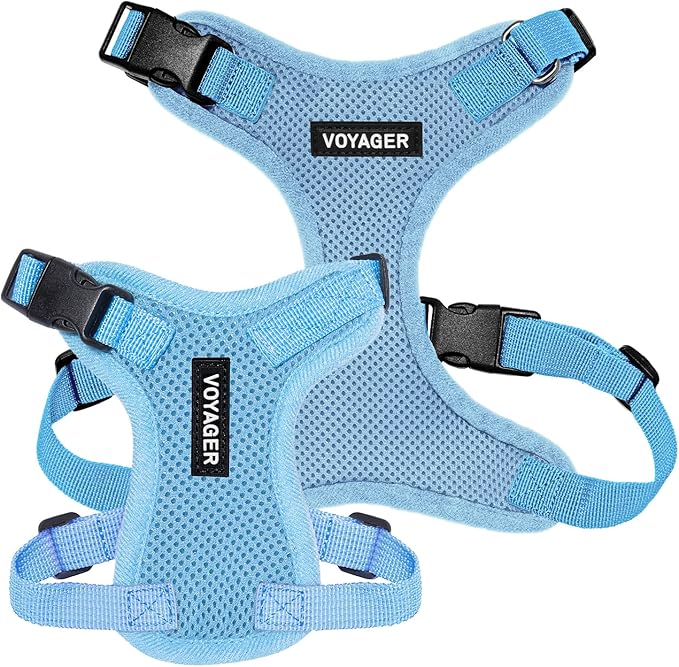 Voyager Step-in Lock Pet Harness - All Weather Mesh, Adjustable Step in Harness for Cats and Dogs by Best Pet Supplies - Baby Blue, XS