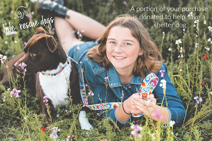 Lucky Love Dog - Easy Click Buckle Dog Collar with Leash Set Combo, Durable & Comfortable Collar for Male & Female Dogs, Pet Collar for Small to Large Dogs, Secure Fit - Ladybird Combo, Large