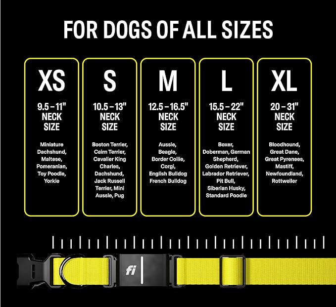 Fi Series 3 Smart Dog Collar - GPS Dog Tracker and Activity & Fitness Monitor, Waterproof, LED Light, Escape Alerts, Nationwide Coverage [Free 6 Month Membership] (Gray, Large)