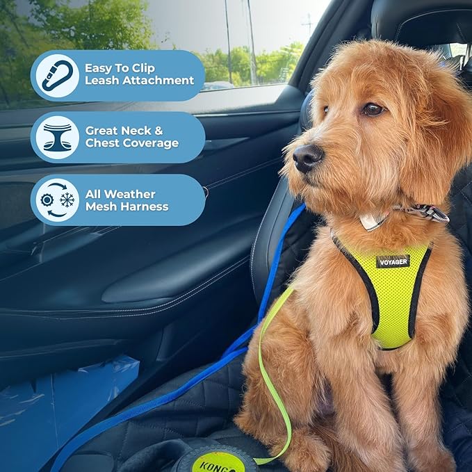 Voyager Step-in Air Dog Harness - All Weather Mesh, Reflective, No Pull Harness for Small, Medium Dogs, Cats - Secure with Hook & Loop Fastener, Buckle, Double D-Rings - Lime Green/Black Trim, XXXS