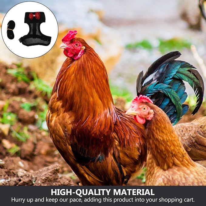 Balacoo Chicken Harness - Chicken Traction Rope Elastic Breathable Adjustable Pet Harness Vest Washable Xmas Pet Set for Chicks, Geese, Hen, (Black M)